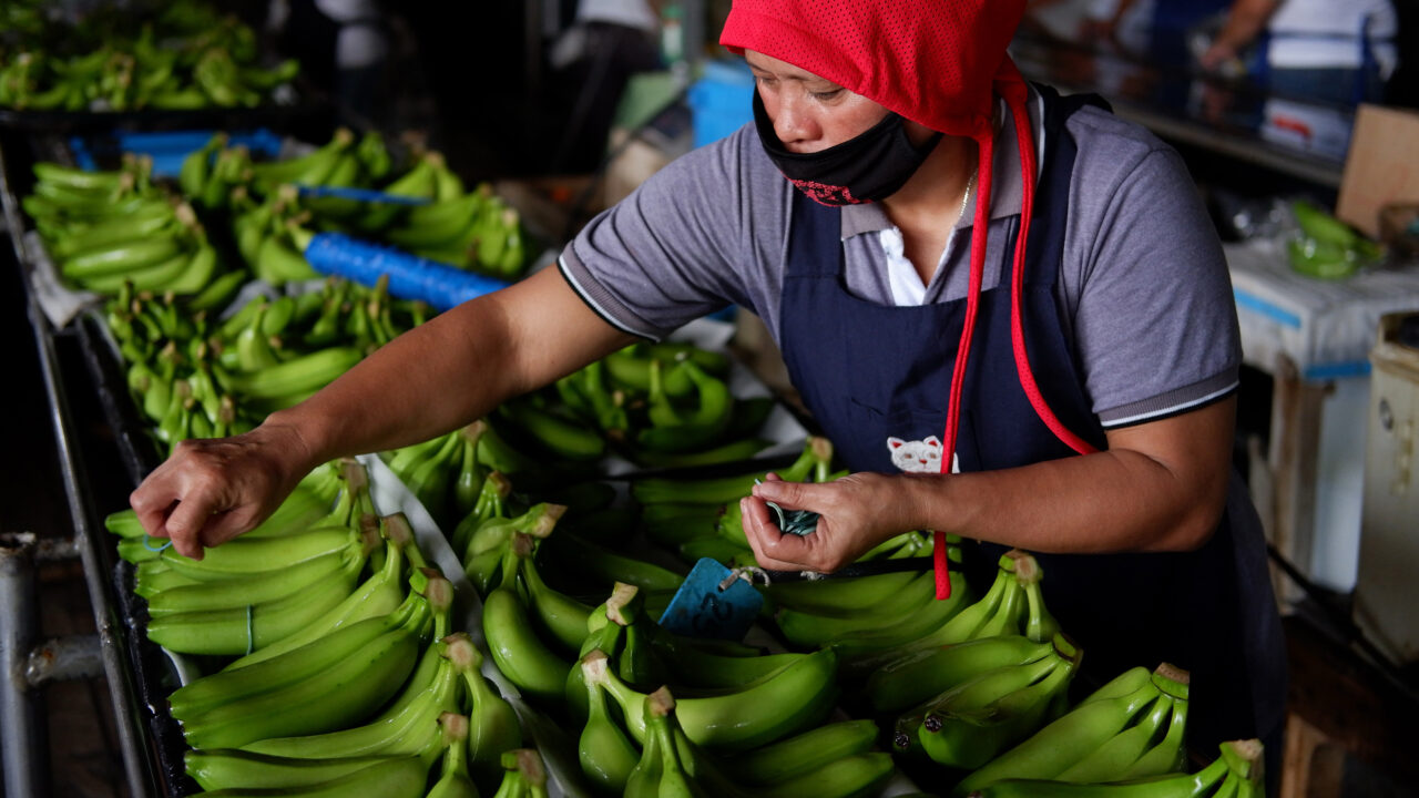 Dreaming About Bananas or Mangoes in Filipino Belief — What It Really Means